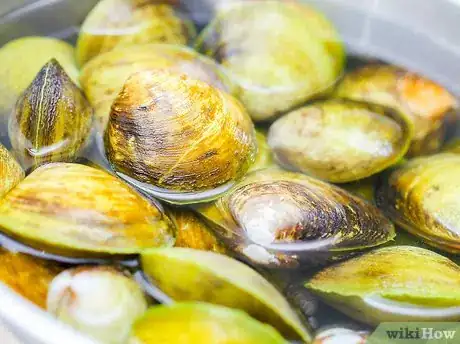 Imagen titulada Make New England Clam Chowder Step 1
