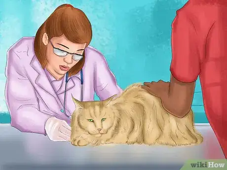 Imagen titulada Tell if Your Cat Has a Food Intolerance Step 6