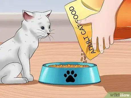 Imagen titulada Raise a Kitten Step 11