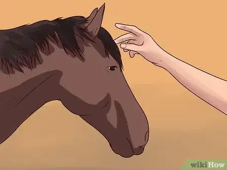 Imagen titulada Dismount a Horse Step 1