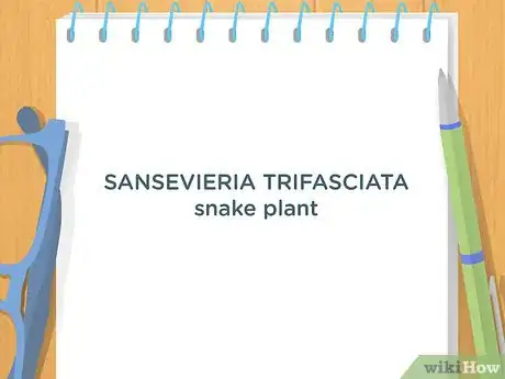 Imagen titulada Write a Scientific Name Step 5