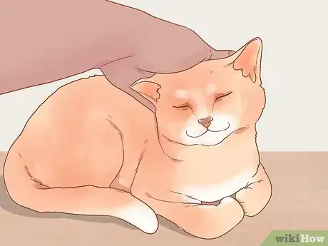 Imagen titulada Stop Your Cat from Begging Step 8