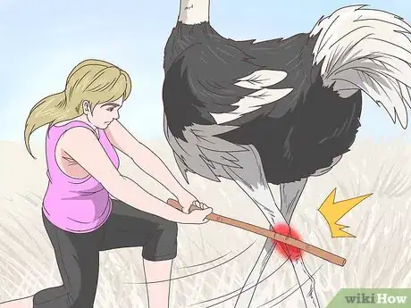 Imagen titulada Survive an Encounter with an Ostrich Step 10