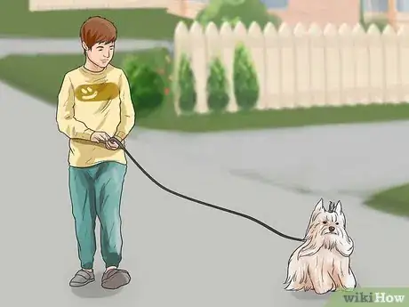 Imagen titulada Stop a Dog from Killing Squirrels Step 4