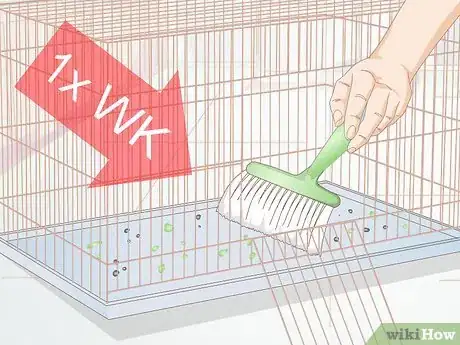 Imagen titulada Keep Flies out of an Indoor Pet Cage Step 1
