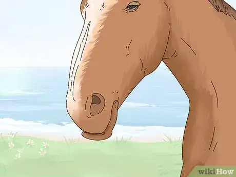 Imagen titulada Tell if a Horse Is Frightened Step 7