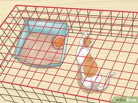 Imagen titulada Treat a Limping Cat Step 10