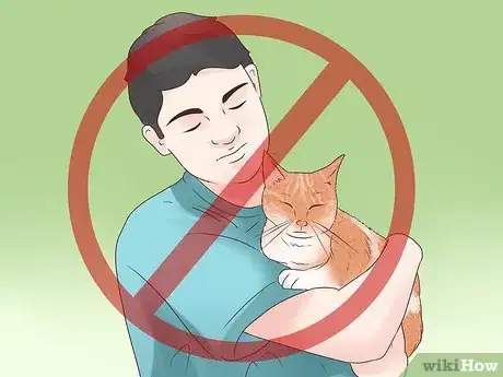 Imagen titulada Treat Epilepsy in Cats Step 11