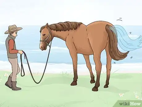 Imagen titulada Tell if a Horse Is Frightened Step 5
