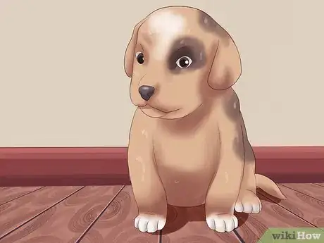 Imagen titulada Pick a Puppy from a Litter Step 9