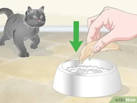 Imagen titulada Help a Vomiting Cat Step 12