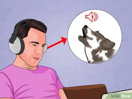 Imagen titulada Howl Like a Wolf Step 5