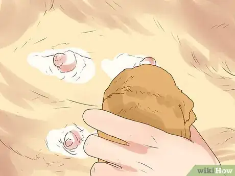 Imagen titulada Encourage a Mother Dog to Feed Her Litter Step 4