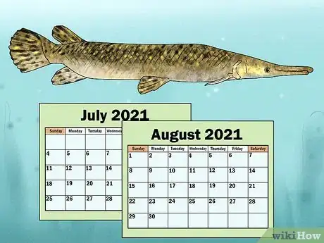 Imagen titulada Fish for Alligator Gar Step 4