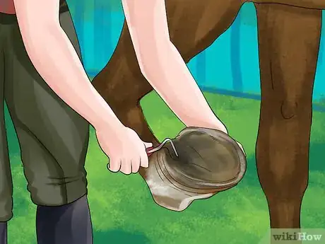 Imagen titulada Treat a Hoof Abscess in Horses Step 5