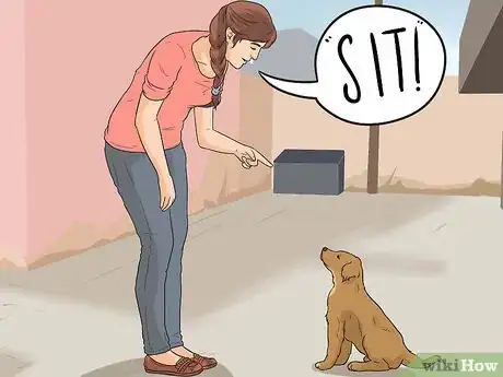 Imagen titulada Introduce a New Puppy Step 3