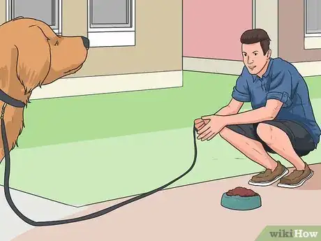 Imagen titulada Train a Dog to Come Step 7