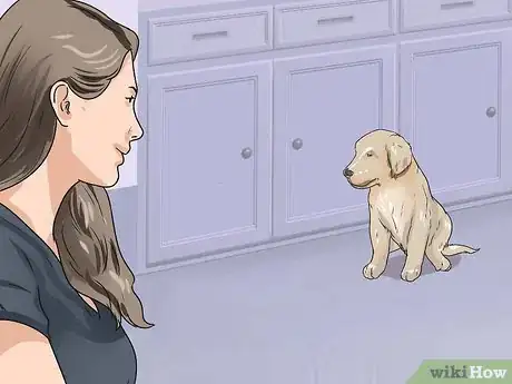 Imagen titulada Train a Golden Retriever Puppy Step 13
