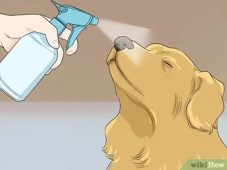 Imagen titulada Introduce a Cat to a Dog Step 13