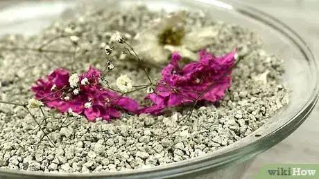 Imagen titulada Preserve Flowers in a Jar Step 10
