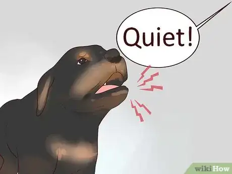 Imagen titulada Train Your Rottweiler Puppy With Simple Commands Step 8