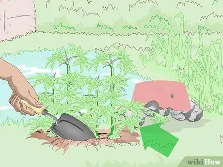 Imagen titulada Attract Frogs Step 3