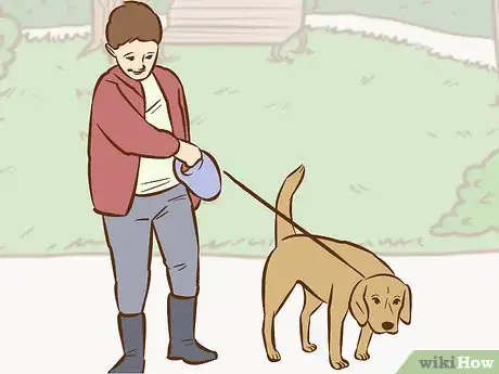 Imagen titulada Persuade Your Parents to Get a Dog Step 5