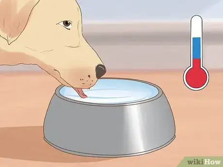 Imagen titulada Encourage a Mother Dog to Feed Her Litter Step 3