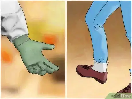 Imagen titulada Pick up a Tarantula Step 1