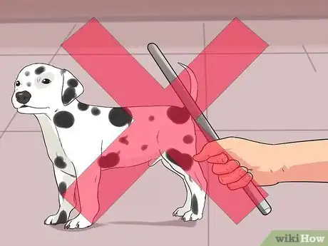 Imagen titulada Train Dalmatians Step 10
