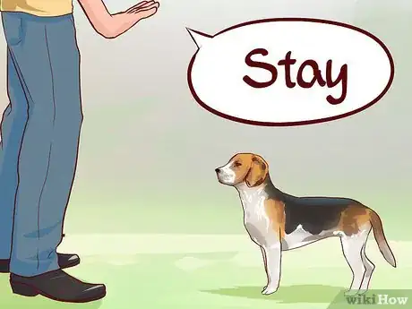 Imagen titulada Train Beagles Step 7