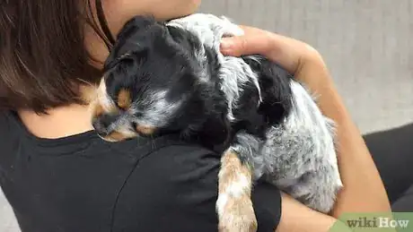 Imagen titulada Carry a Puppy Step 7