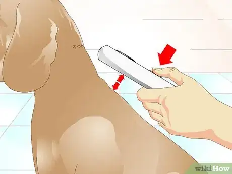Imagen titulada Tell if a Dog Is Microchipped Step 6