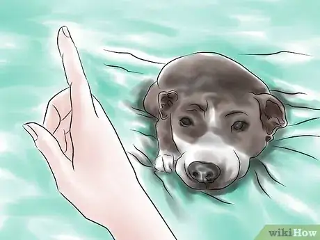 Imagen titulada Train a Pit Bull Step 7