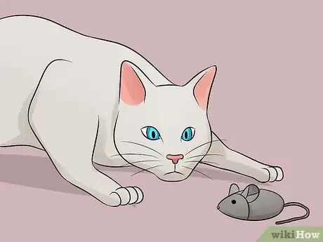 Imagen titulada Help Your Depressed Cat Step 9