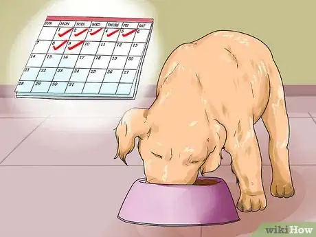 Imagen titulada Train a Golden Retriever Puppy Step 11