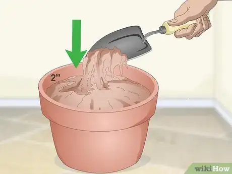 Imagen titulada Make a Grass Pot for Cats Step 1