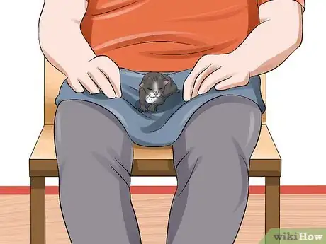 Imagen titulada Care for an Abandoned Kitten Step 10