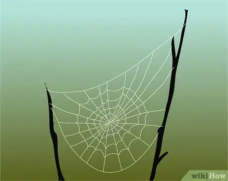 Imagen titulada Catch a Spider Step 3