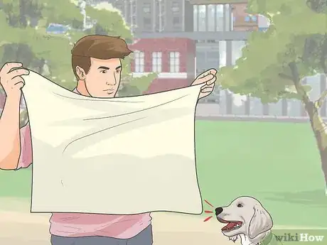 Imagen titulada Introduce a New Puppy Step 8