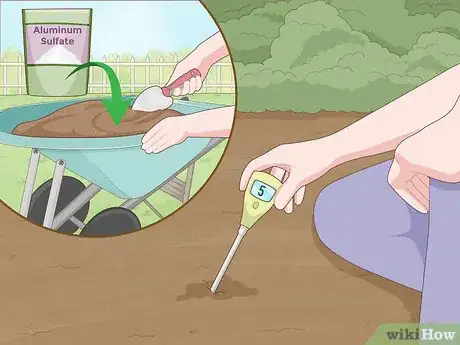 Imagen titulada Improve Soil Step 21