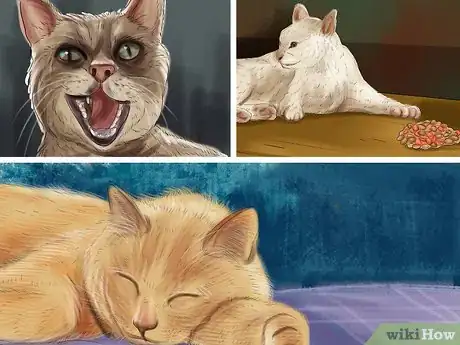 Imagen titulada Give Gabapentin to Cats with Cancer Step 14