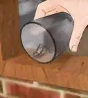 atrapar grillos en casa