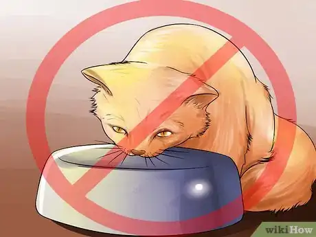 Imagen titulada Prepare Your Cat for Surgery Step 4