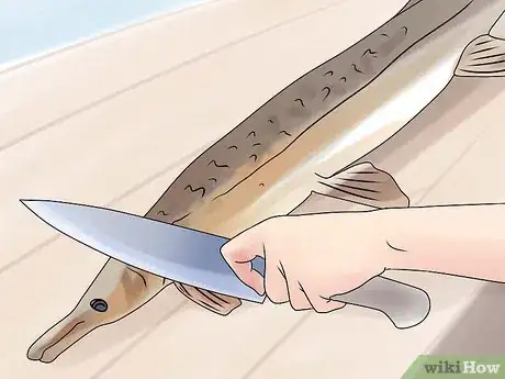 Imagen titulada Fish for Alligator Gar Step 15