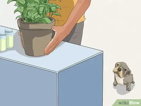 Imagen titulada Care for a Puppy when You Work Full Time Step 10