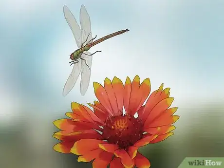 Imagen titulada Attract Dragonflies Step 11