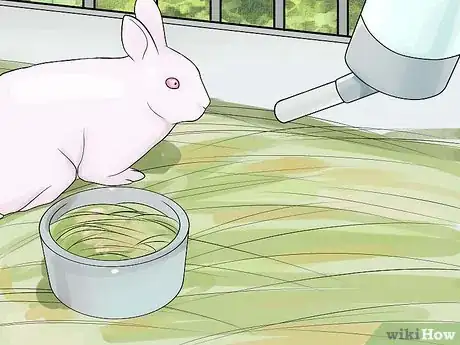 Imagen titulada Care for Newborn Rabbits Step 6