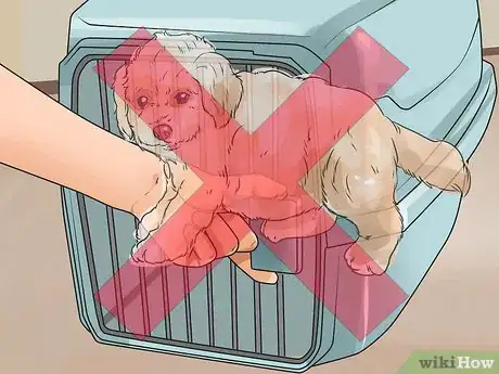Imagen titulada Train Goldendoodles Step 14