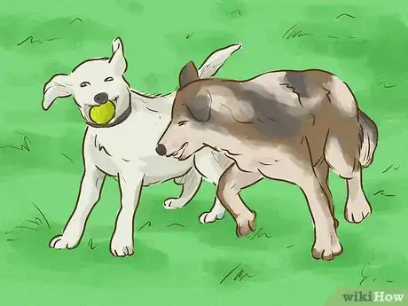 Imagen titulada Keep Your Dog Happy Step 2
